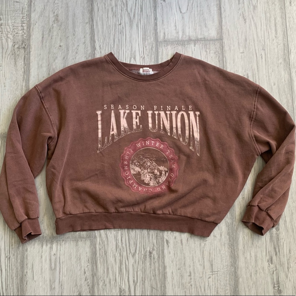 Brown state park sweater pullover indie